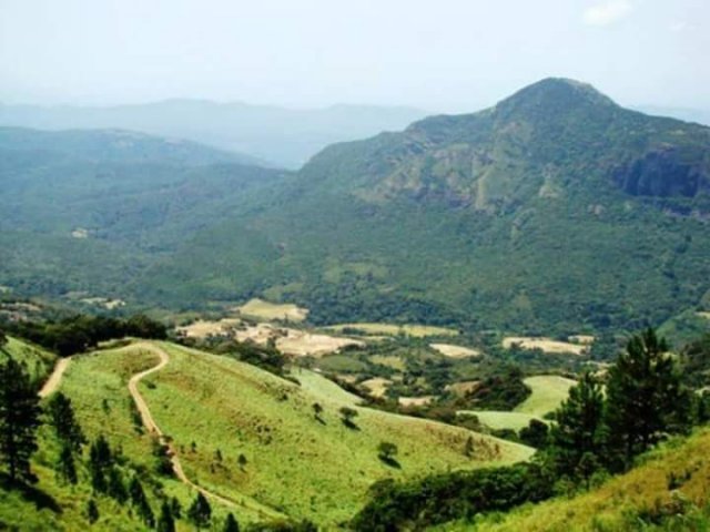 Nature
